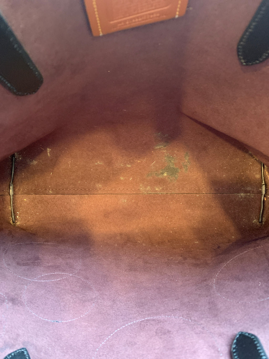 Coach Wizard of Oz tote signature leather